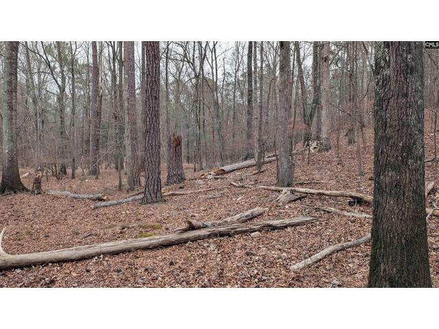 Photo of Lots B & C Miller Road