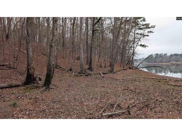 Photo of Lots B & C Miller Road