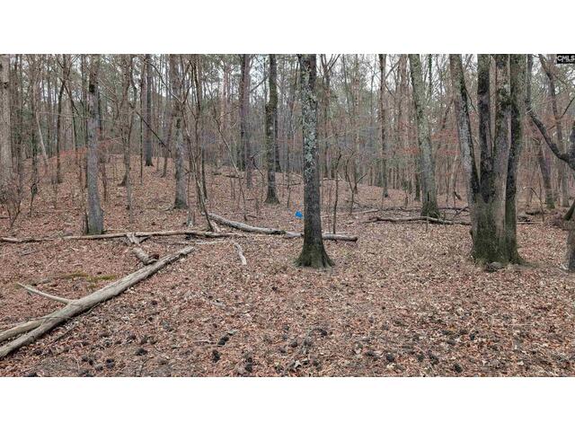 Photo of Lots B & C Miller Road