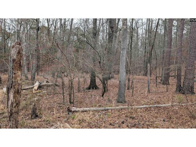 Photo of Lots B & C Miller Road