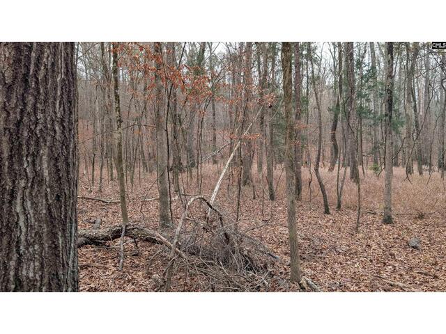 Photo of Lots B & C Miller Road