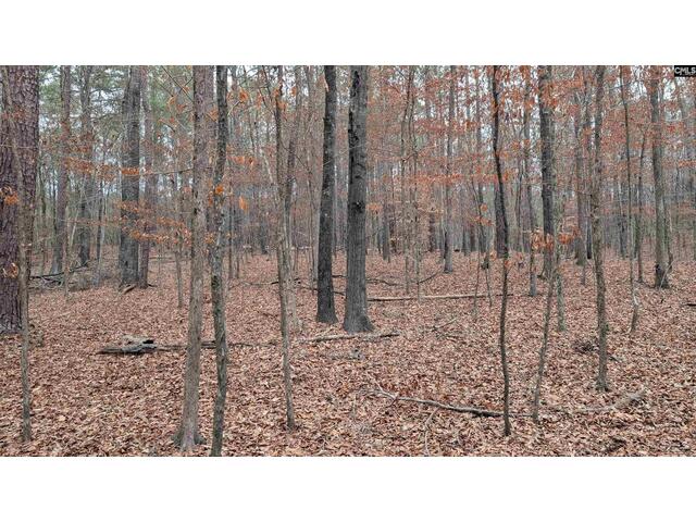 Photo of Lots B & C Miller Road