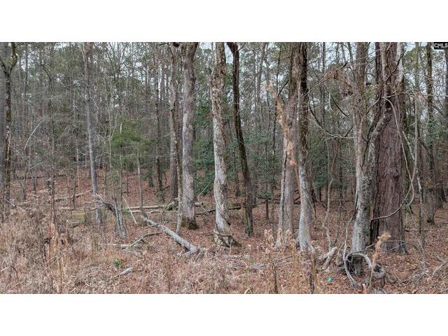 Photo of Lots B & C Miller Road