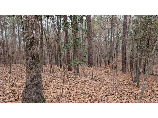 Photo of Lots B & C Miller Road