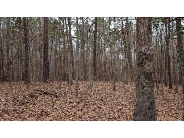 Photo of Lots B & C Miller Road