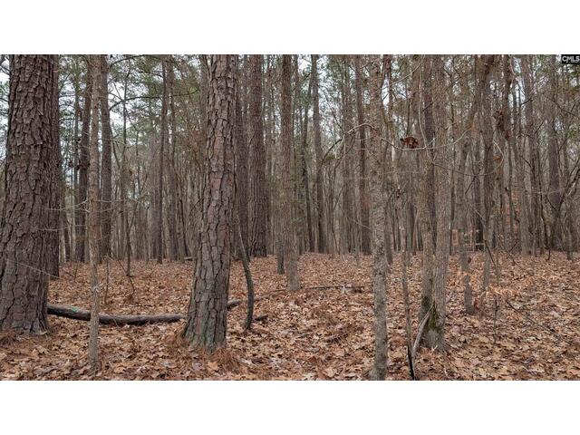 Photo of Lots B & C Miller Road