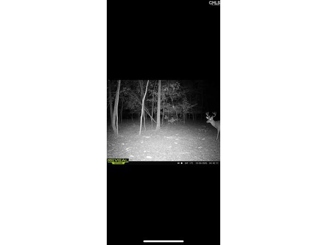 Photo of 3600 KENNERLY Road