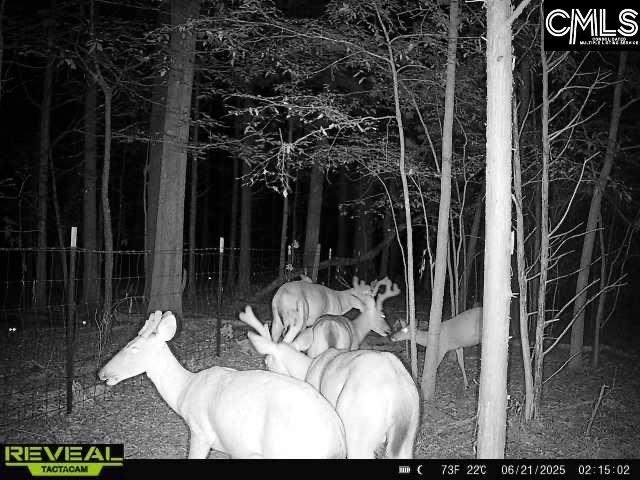 Photo of 3600 KENNERLY Road