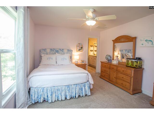 Photo of 146 Williams Road