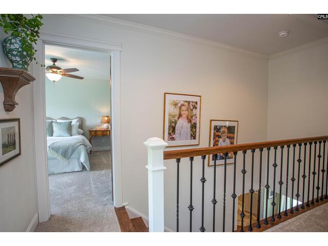 Photo of 146 Williams Road