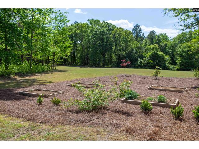 Photo of 146 Williams Road