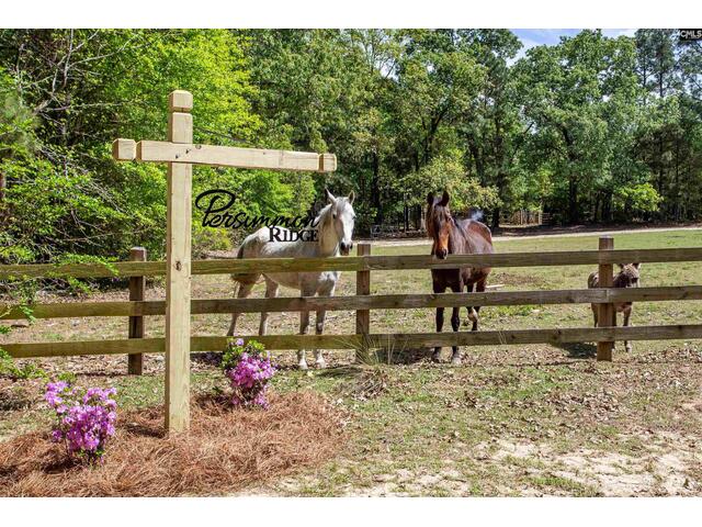 Photo of 146 Williams Road