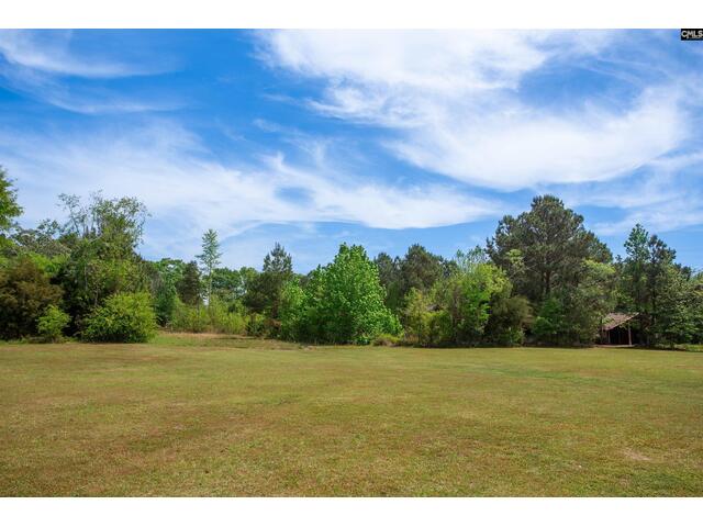 Photo of 146 Williams Road