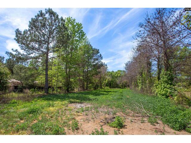 Photo of 146 Williams Road