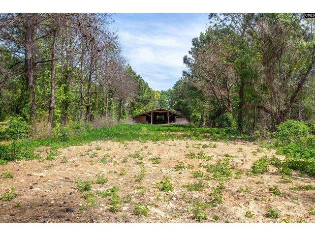Photo of 146 Williams Road