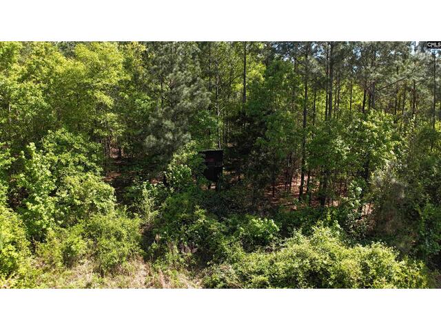 Photo of 146 Williams Road