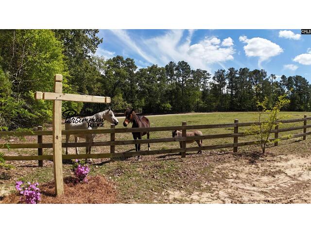 Photo of 146 Williams Road