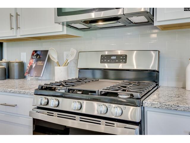 Photo of 338 Chapin Place Way