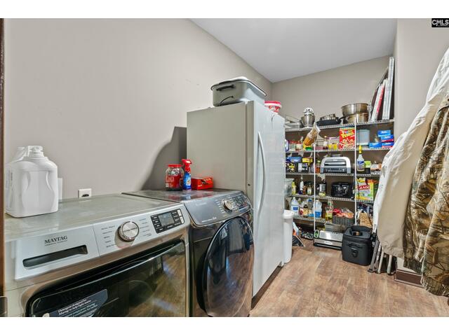 Photo of 769 red knot lane