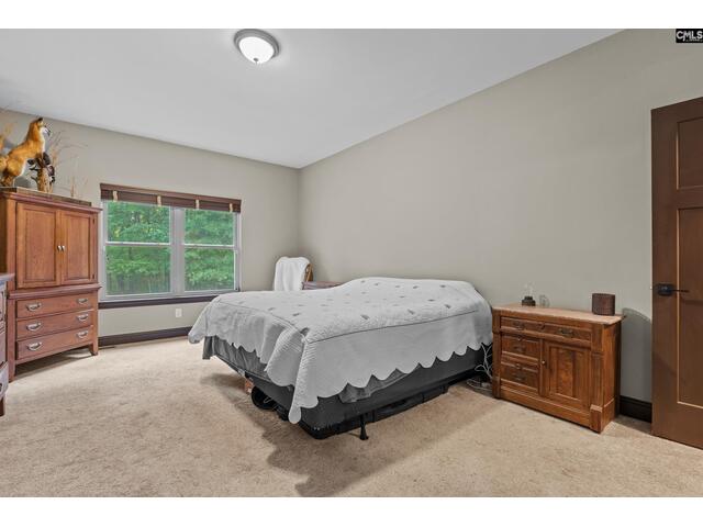 Photo of 769 red knot lane