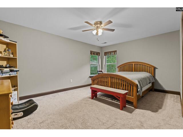 Photo of 769 red knot lane