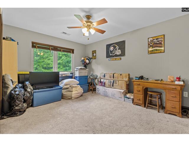 Photo of 769 red knot lane