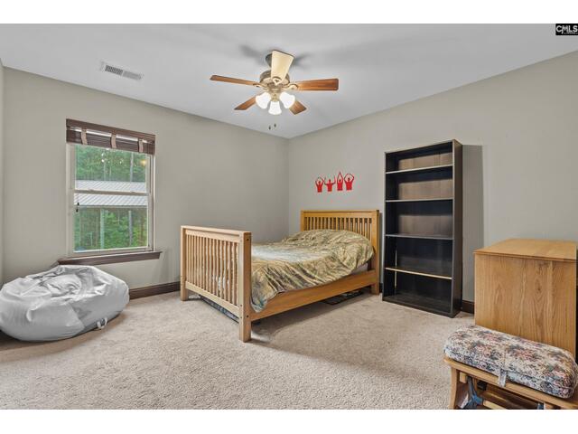 Photo of 769 red knot lane