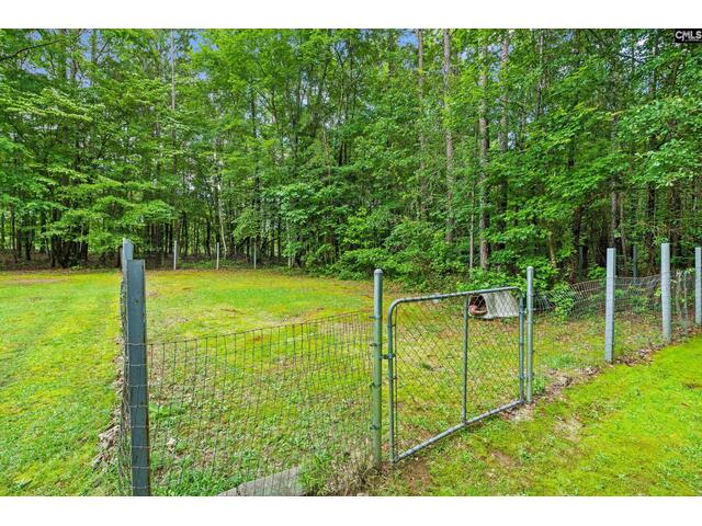 Photo of 769 red knot lane