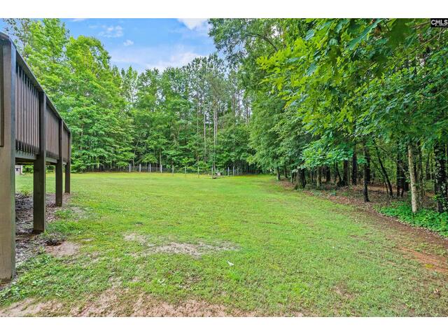 Photo of 769 red knot lane