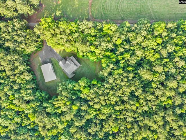 Photo of 769 red knot lane