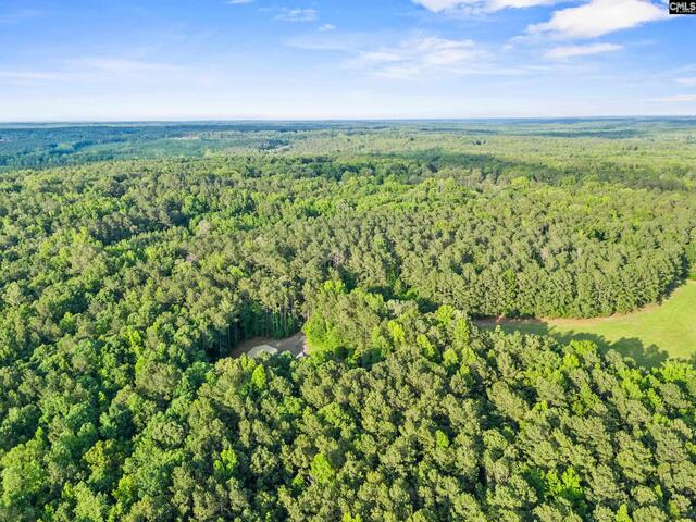 Photo of 769 red knot lane