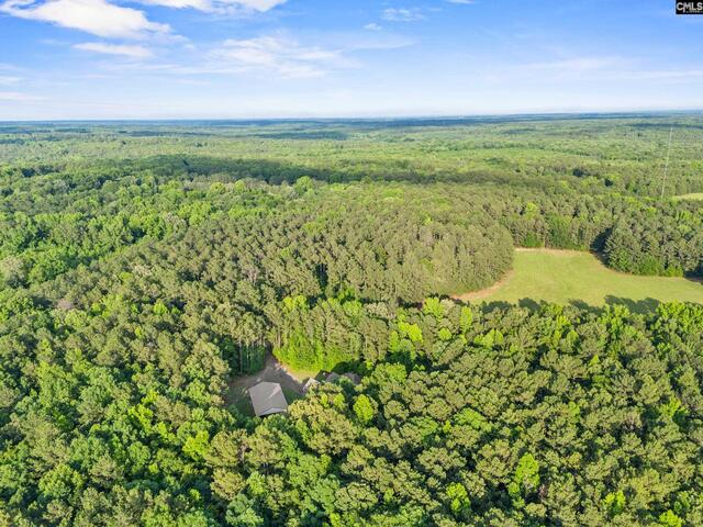 Photo of 769 red knot lane