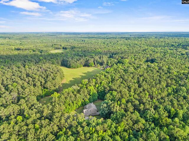 Photo of 769 red knot lane