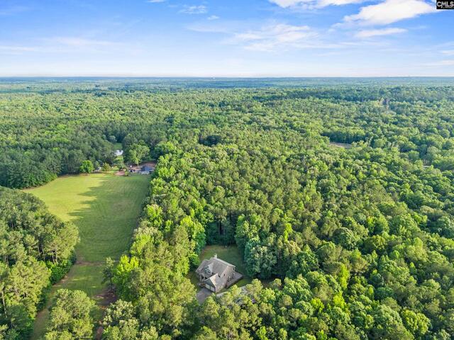 Photo of 769 red knot lane