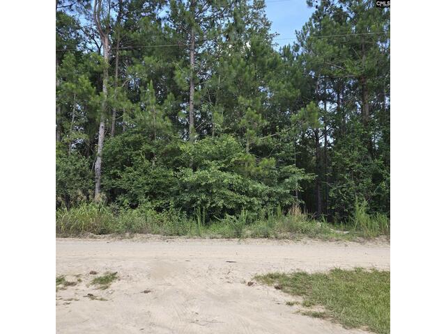 Photo of 1321 Spring Creek Road Photo of 1321 Spring Creek Road