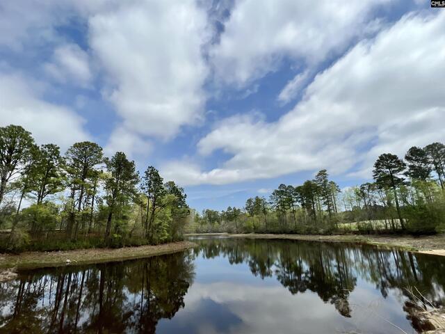 Photo of 263 Secretariat Street