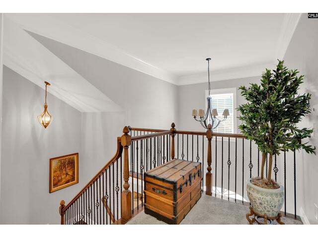 Photo of 317 Whiskery Lane