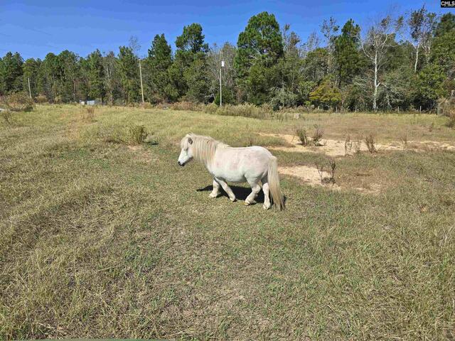 Photo of 991 Old Chalk Bed Road