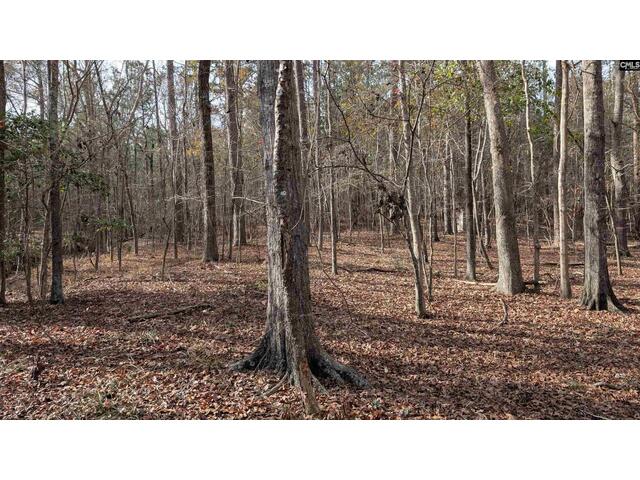 Photo of TBD Wateree Estates Road